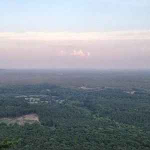 Meet your Posher, Devita